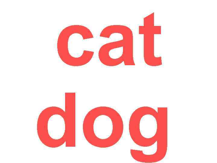 cat dog 