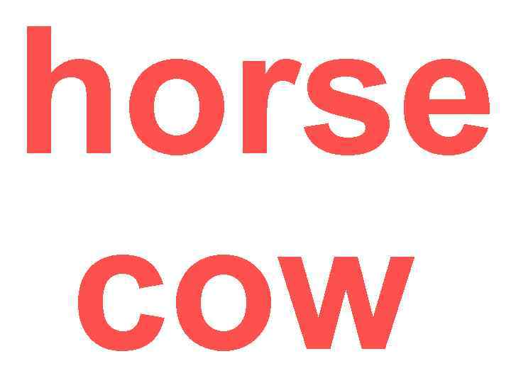 horse cow 