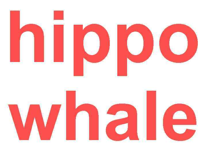 hippo whale 