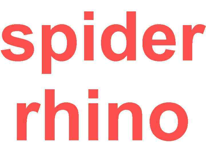 spider rhino 