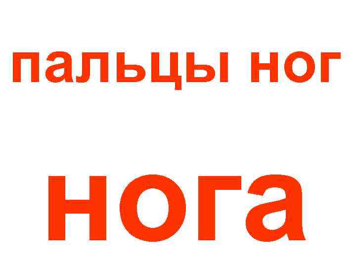 пальцы нога 