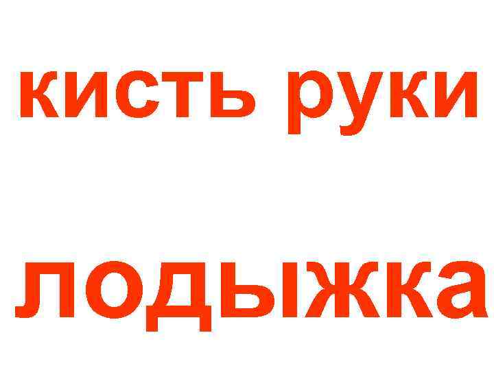 кисть руки лодыжка 