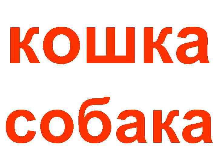 кошка собака 