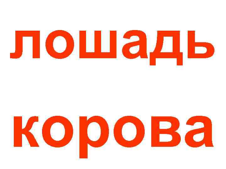 лошадь корова 