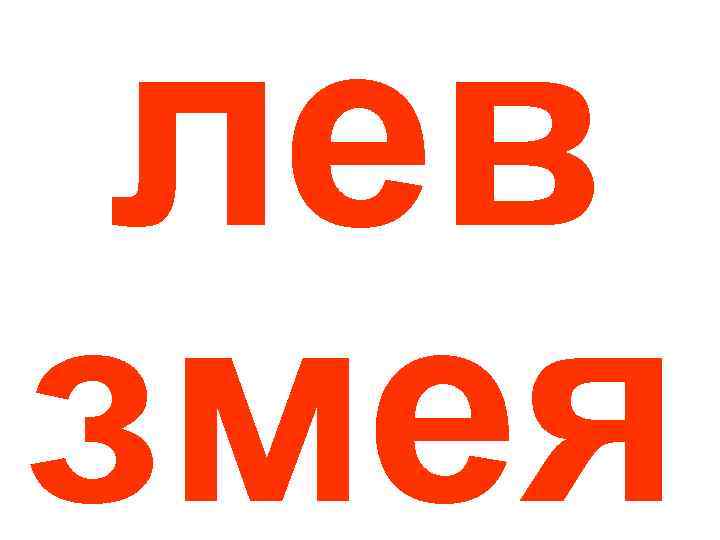 лев змея 