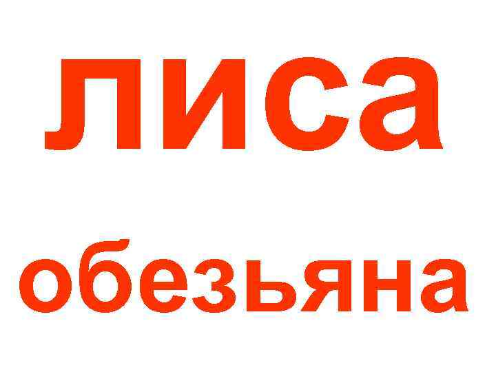 лиса обезьяна 