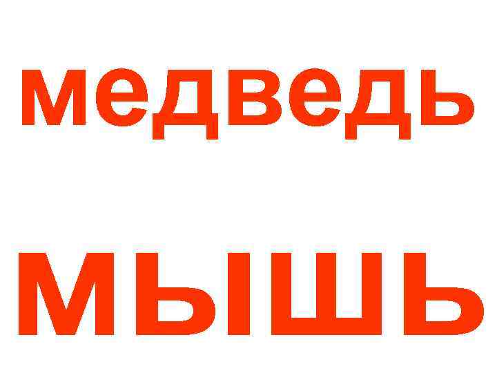 медведь мышь 