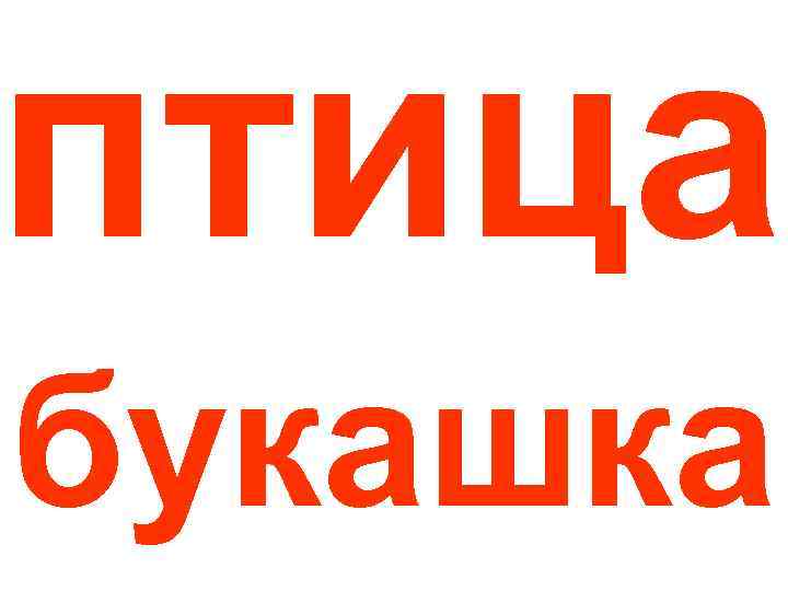 птица букашка 