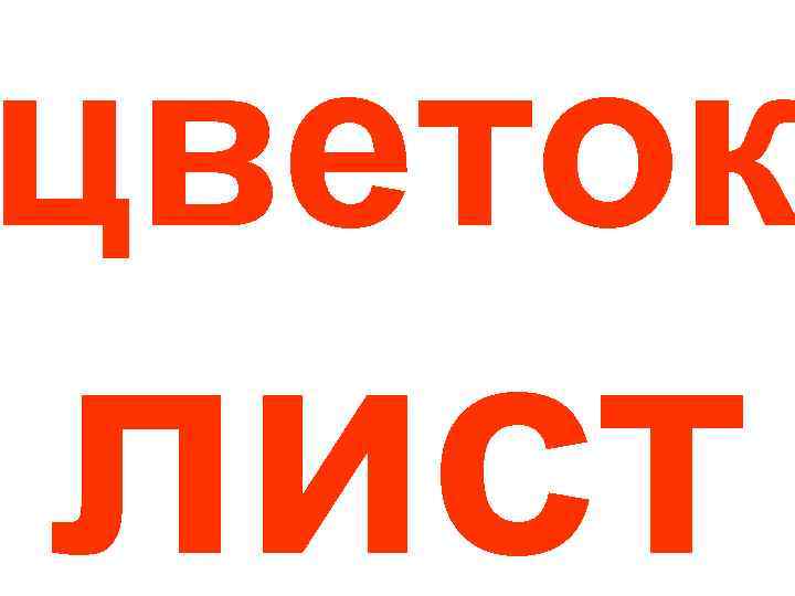 цветок лист 