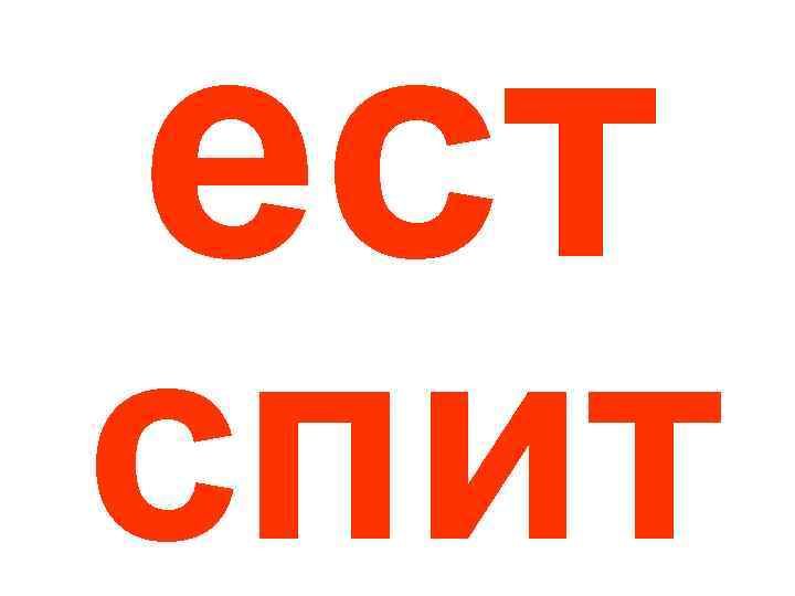 ест спит 