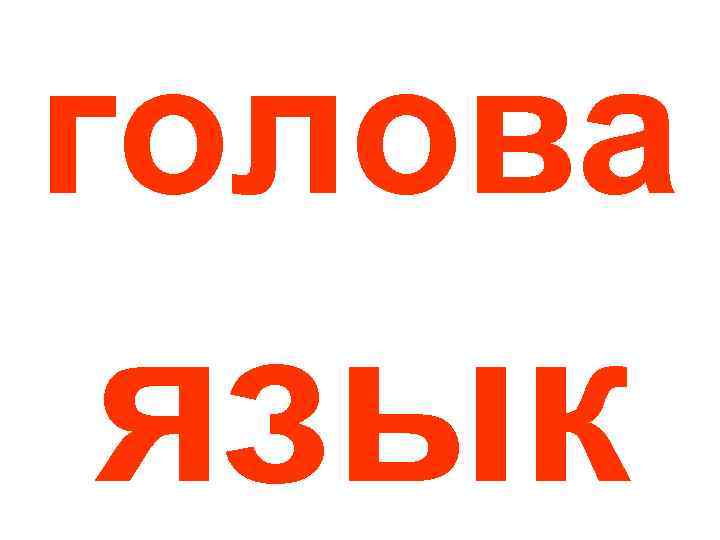 голова язык 