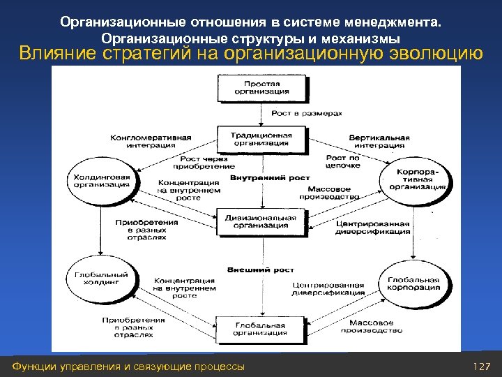 Организационные отношения в системе менеджмента. Организационные структуры и механизмы Влияние стратегий на организационную эволюцию