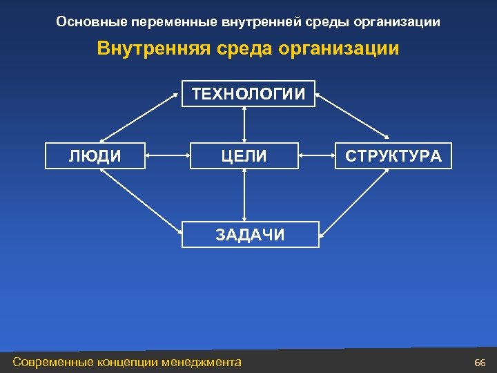 Внутренняя структура организации