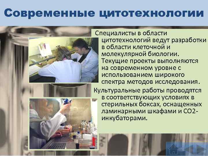 Современные цитотехнологии Специалисты в области цитотехнологий ведут разработки в области клеточной и молекулярной биологии.