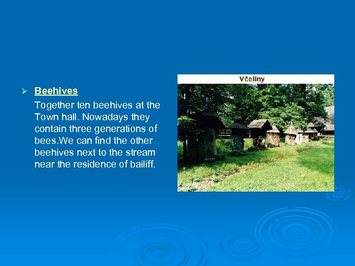 Ø Beehives Together ten beehives at the Town hall. Nowadays they contain three generations