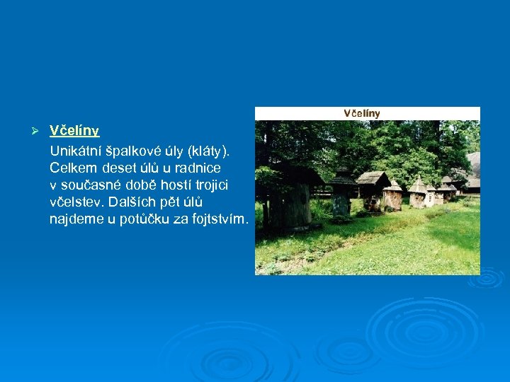 Ø Včelíny Unikátní špalkové úly (kláty). Celkem deset úlů u radnice v současné době