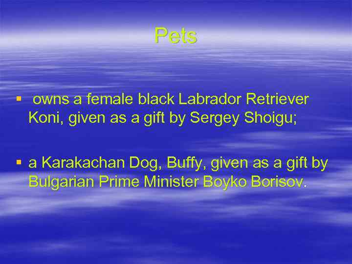 Pets § owns a female black Labrador Retriever Koni, given as a gift by