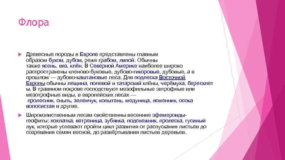 Флора Древесные породы в Европе представлены главным образом буком, дубом, реже грабом, липой. Обычны