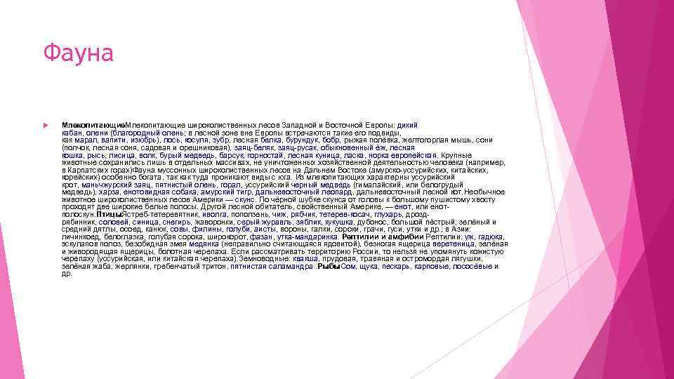 Фауна Млекопитающие широколиственных лесов Западной и Восточной Европы: дикий кабан, олени (благородный олень; в