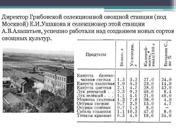 Директор Грибовской селекционной овощной станции (под Москвой) Е. И. Ушакова и селекционер этой станции