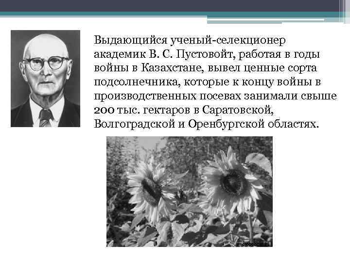 Выдающийся ученый-селекционер академик В. С. Пустовойт, работая в годы войны в Казахстане, вывел ценные