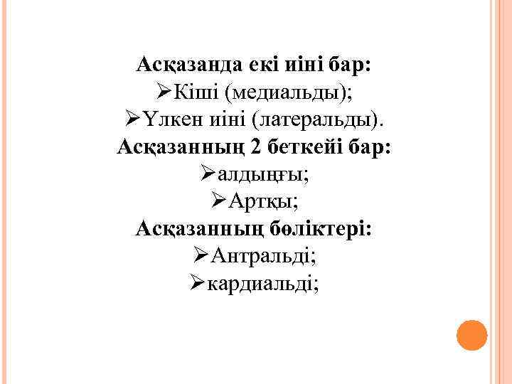 Асқазанда екі иіні бар: ØКіші (медиальды); ØҮлкен иіні (латеральды). Асқазанның 2 беткейі бар: Øалдыңғы;