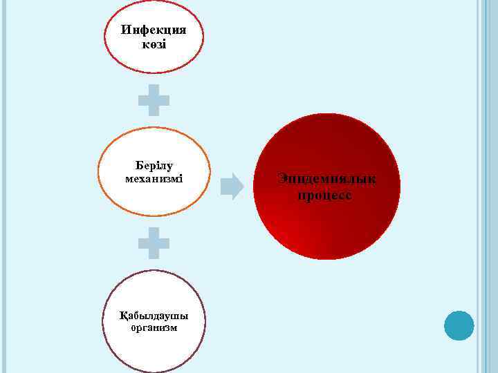 Инфекция көзі Берілу механизмі Қабылдаушы организм Эпидемиялық процесс 