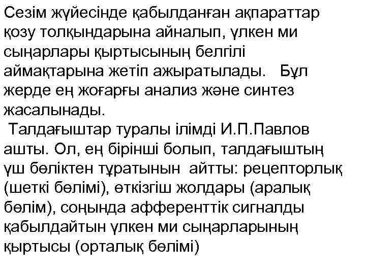 Сезім жүйесінде қабылданған ақпараттар қозу толқындарына айналып, үлкен ми сыңарлары қыртысының белгілі аймақтарына жетіп