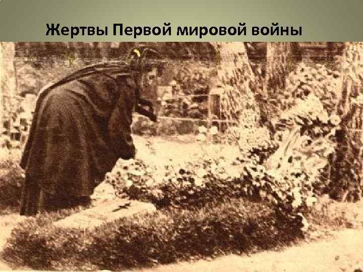 Жертвы Первой мировой войны 