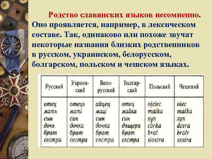 Родство славянских языков несомненно. Оно проявляется, например, в лексическом составе. Так, одинаково или похоже