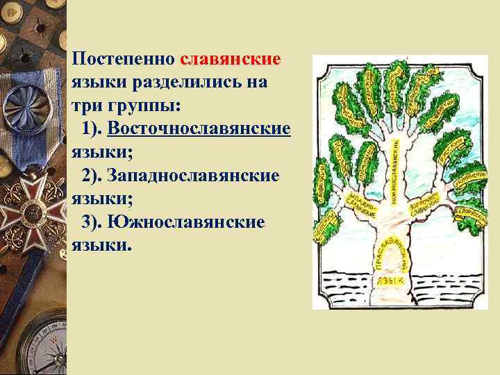 Постепенно славянские языки разделились на три группы: 1). Восточнославянские языки; 2). Западнославянские языки; 3).