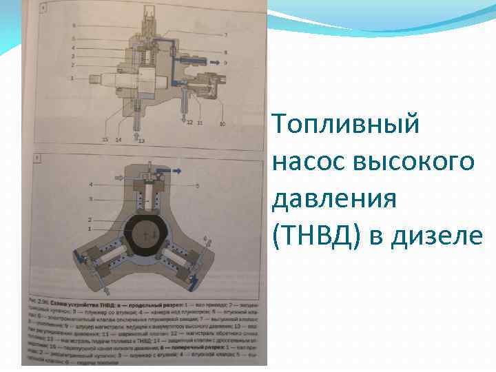Топливный насос высокого давления (ТНВД) в дизеле 