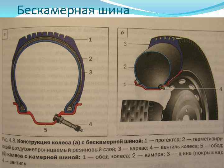 Бескамерная шина 