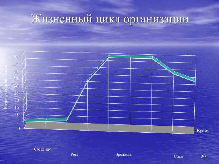 Жизненный цикл организации 20 