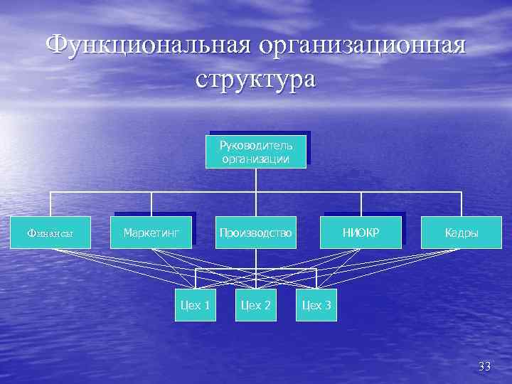 Функциональная организационная структура Руководитель организации Финансы Маркетинг Производство Цех 1 Цех 2 НИОКР Кадры