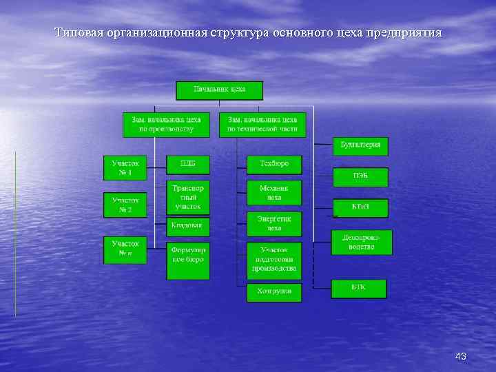 Типовая организационная структура основного цеха предприятия 43 