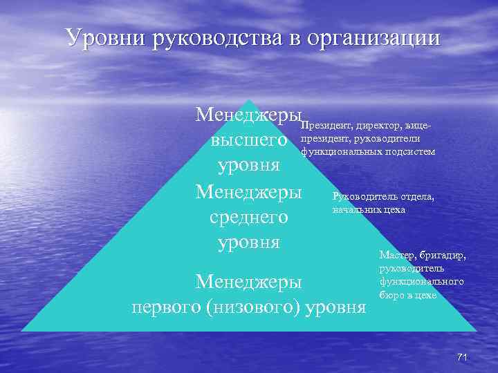 Уровни руководства в организации Менеджеры. Президент, директор, вицевысшего президент, руководители функциональных подсистем уровня Менеджеры