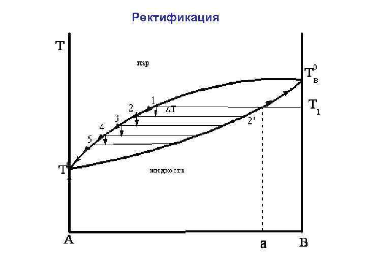 Ректификация 