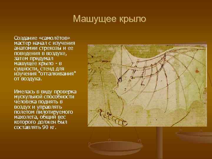 Машущее крыло Создание «самолётов» мастер начал с изучения анатомии стрекозы и ее поведения в