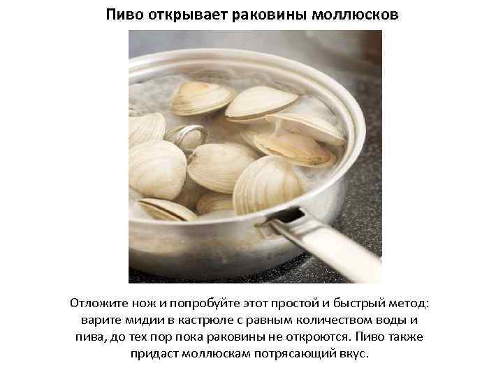 Пиво открывает раковины моллюсков Отложите нож и попробуйте этот простой и быстрый метод: варите