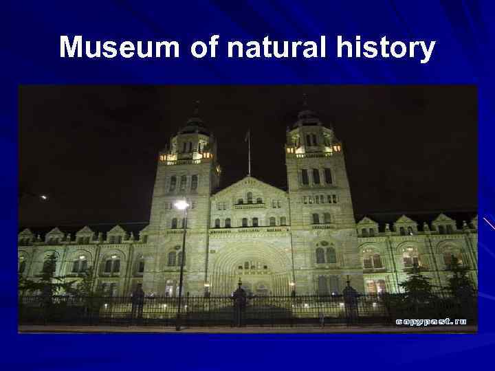 Museum of natural history 