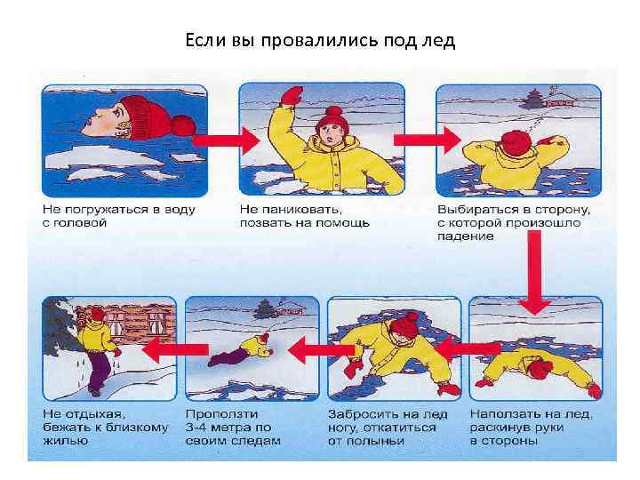 Если вы провалились под лед 