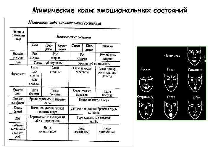 В схеме описания мимических признаков эмоциональных состояний отсутствует следующий элемент лица