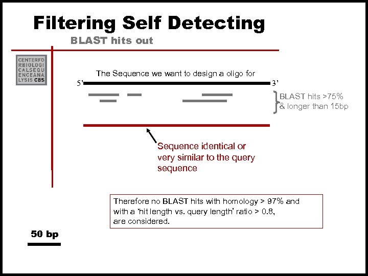 Filtering Self Detecting BLAST hits out The Sequence we want to design a oligo