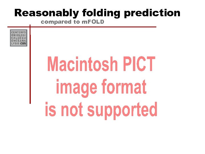 Reasonably folding prediction compared to m. FOLD 