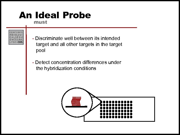 An Ideal Probe must - Discriminate well between its intended target and all other