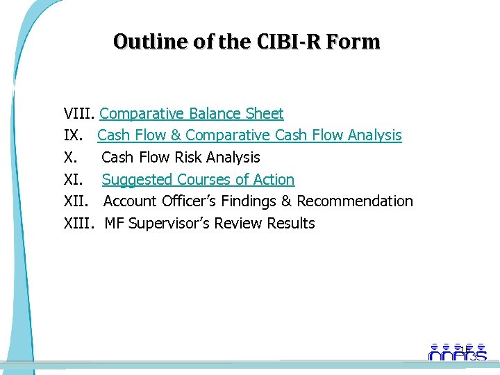 Outline of the CIBI-R Form VIII. Comparative Balance Sheet IX. Cash Flow & Comparative