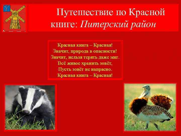  Путешествие по Красной книге: Питерский район Красная книга – Красная! Значит, природа в