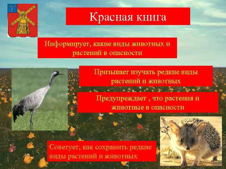 Красная книга Информирует, какие виды животных и растений в опасности Призывает изучать редкие виды