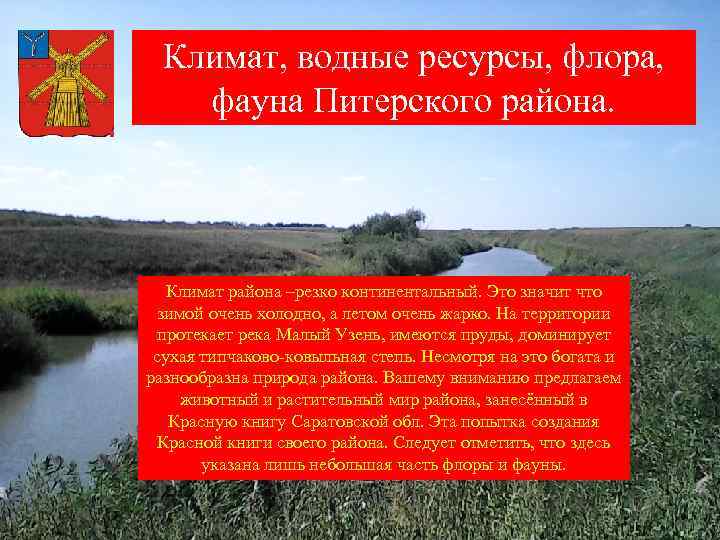 Климат, водные ресурсы, флора, фауна Питерского района. Климат района –резко континентальный. Это значит что